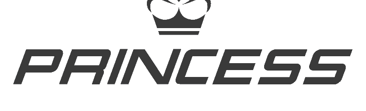 Princess Yachts